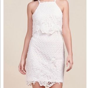 BB Dakota Lace Bodycon Dress